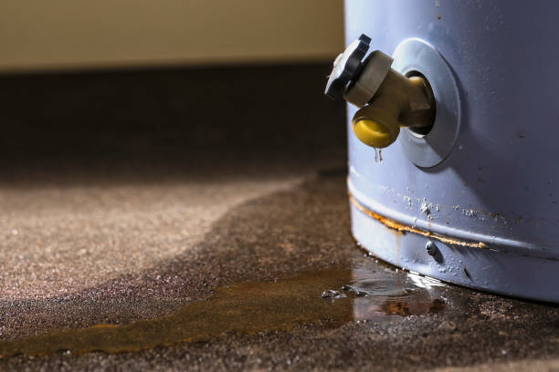 Best 24-hour water damage restoration  in Cardington, OH