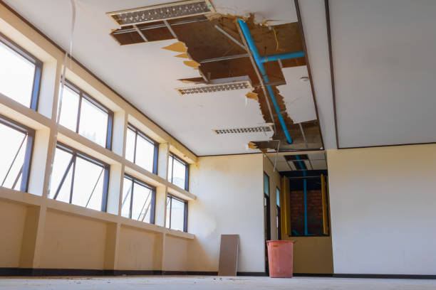 Best Commercial water damage restoration  in Cardington, OH