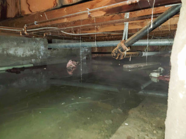 Best Residential water damage restoration  in Cardington, OH