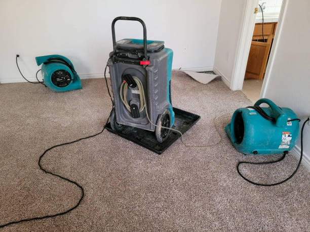 Best Mold removal after water damage  in Cardington, OH