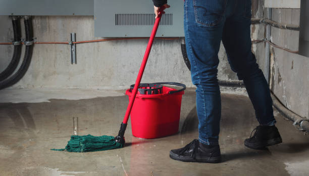  Cardington, OH Water damage restoration Pros