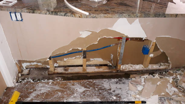Best Water damage contractors near me  in Cardington, OH