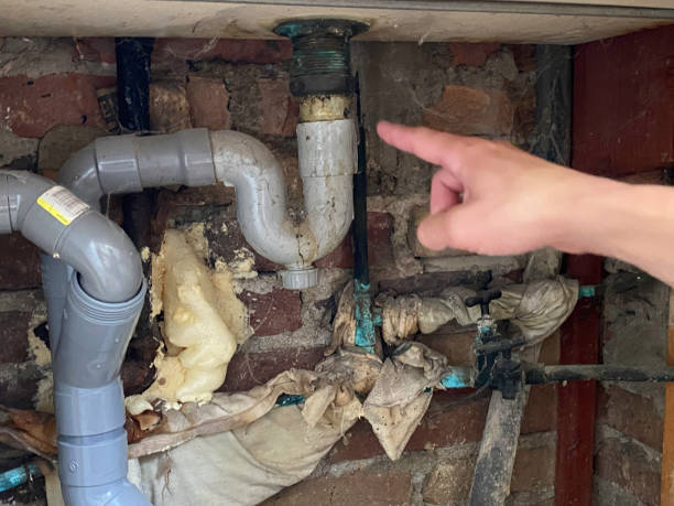 Best Commercial water damage restoration  in Cardington, OH